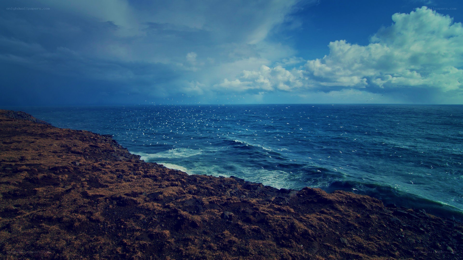 coastal cliffs and ocean view