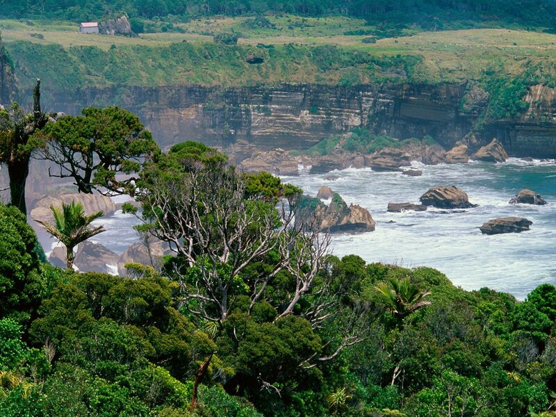 coastal cliffs and ocean view