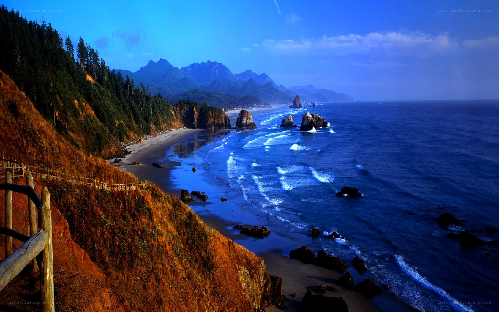 coastal cliffs and ocean view