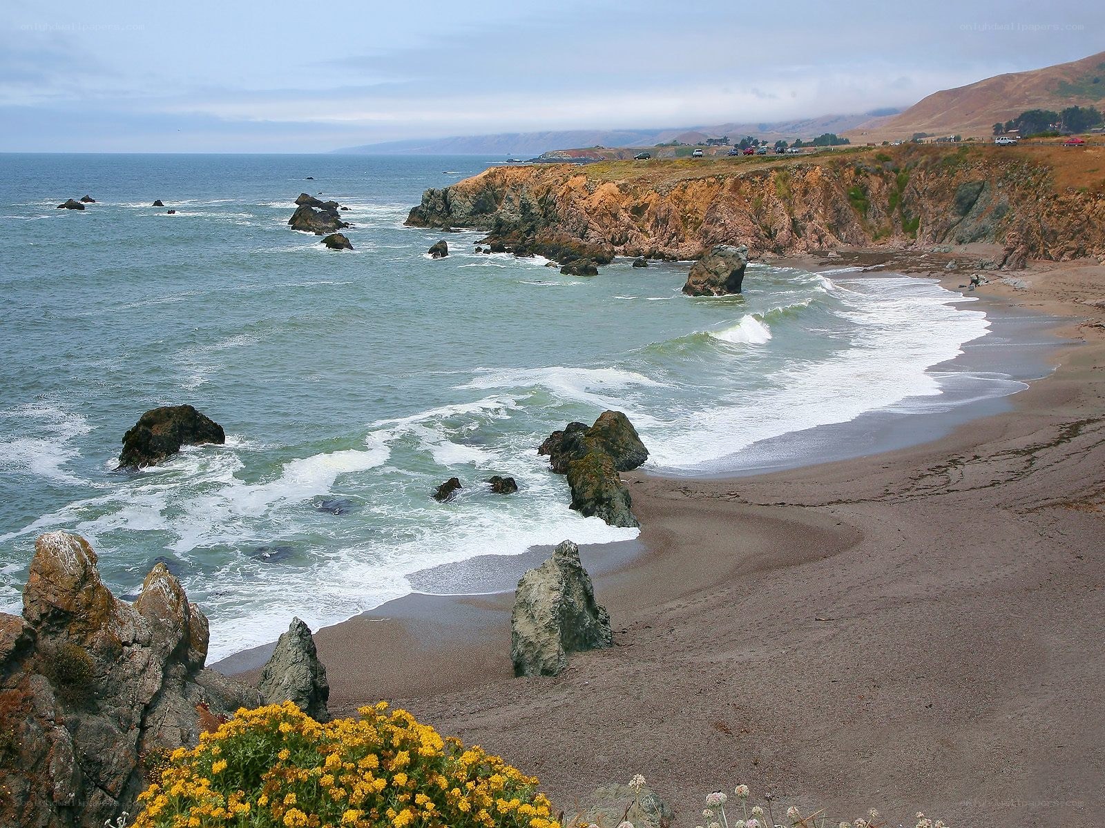 coastal cliffs and rocky beach