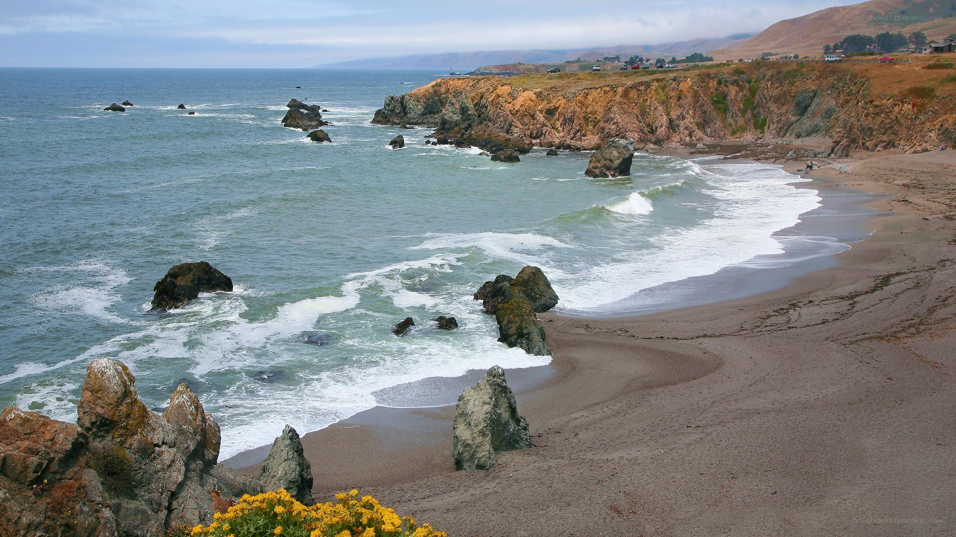 coastal cliffs and rocky beach