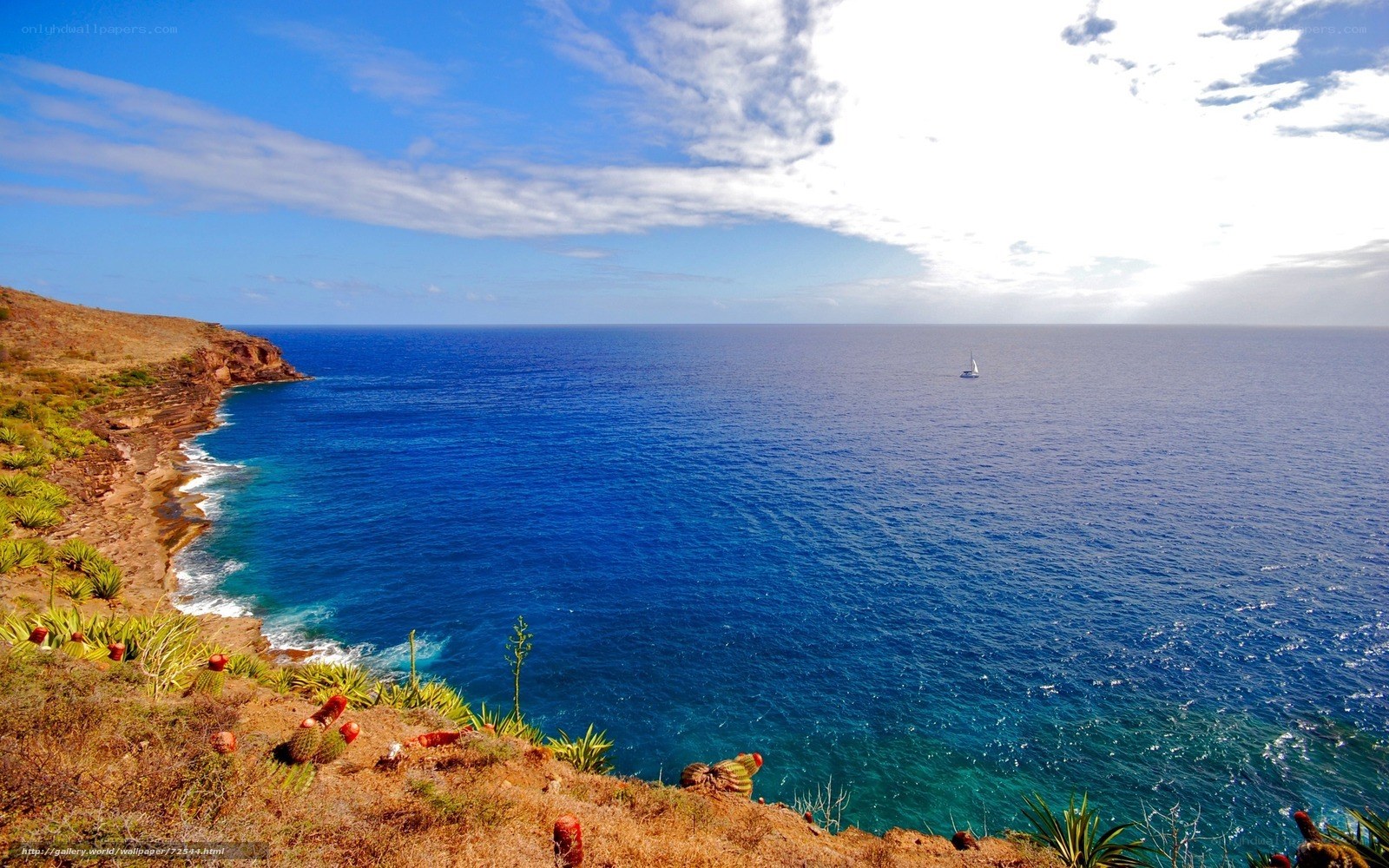 Coastal cliffs and sailboat