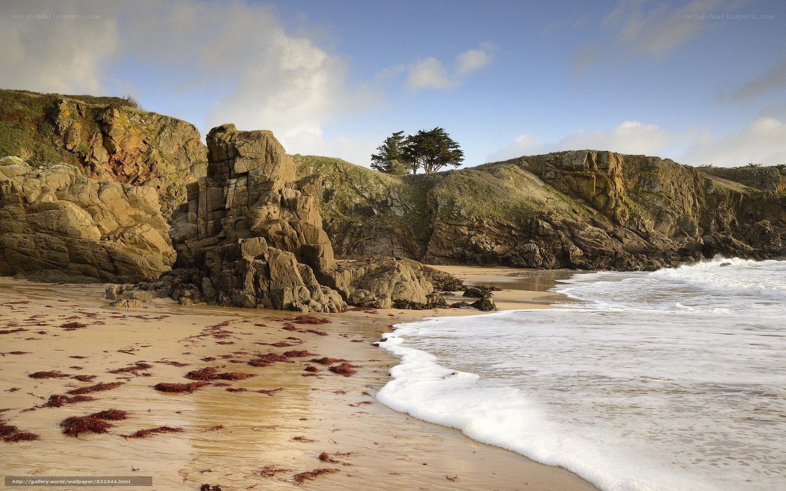 coastal cliffs and sandy beach