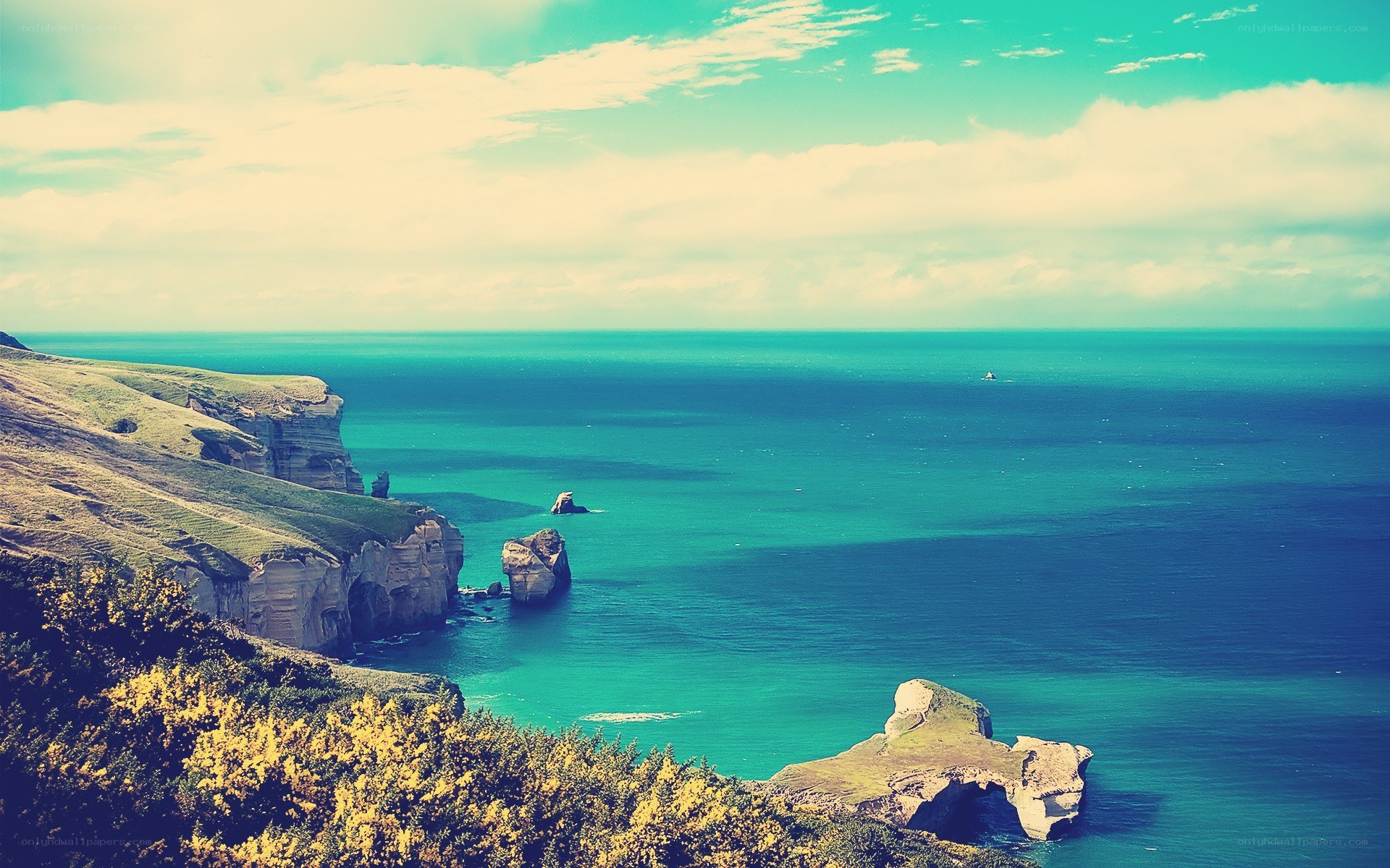 coastal cliffs and sea