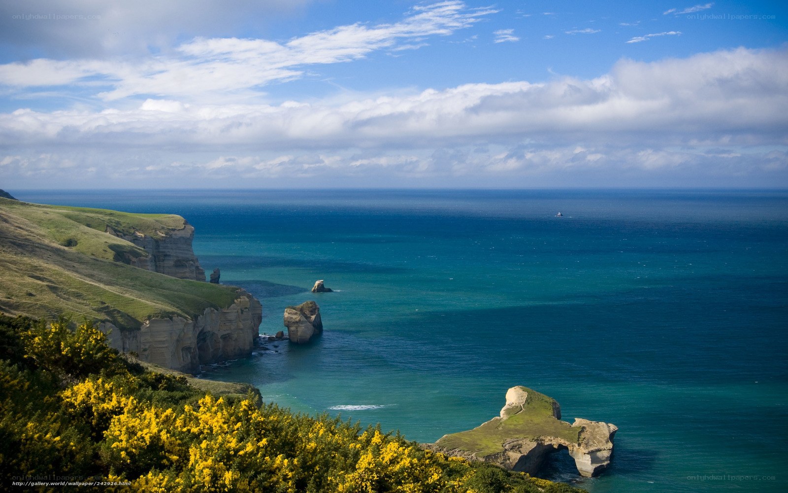 coastal cliffs and sea arch