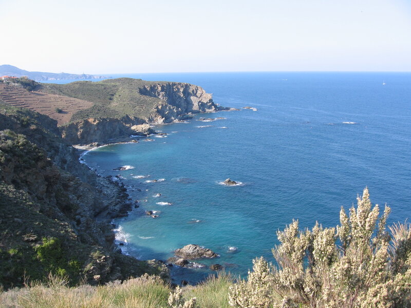 Coastal Cliffs and Sea — Blue, Serene, Afternoon, Photograph, Plants