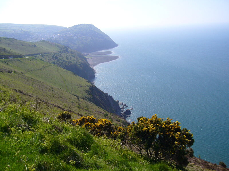 Coastal Cliffs and Sea — Green