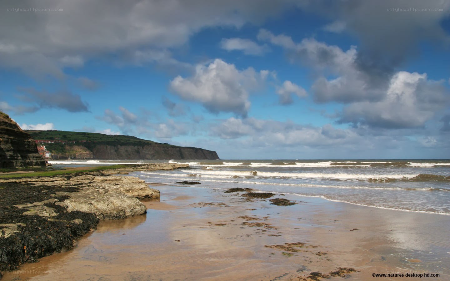 coastal cliffs and waves