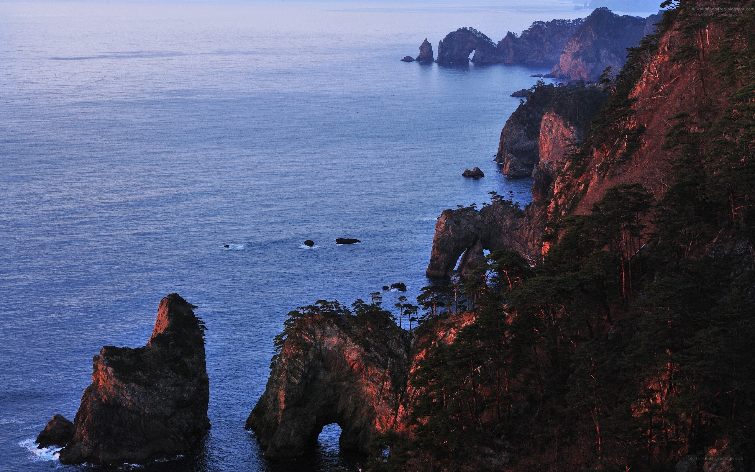 coastal cliffs at dusk