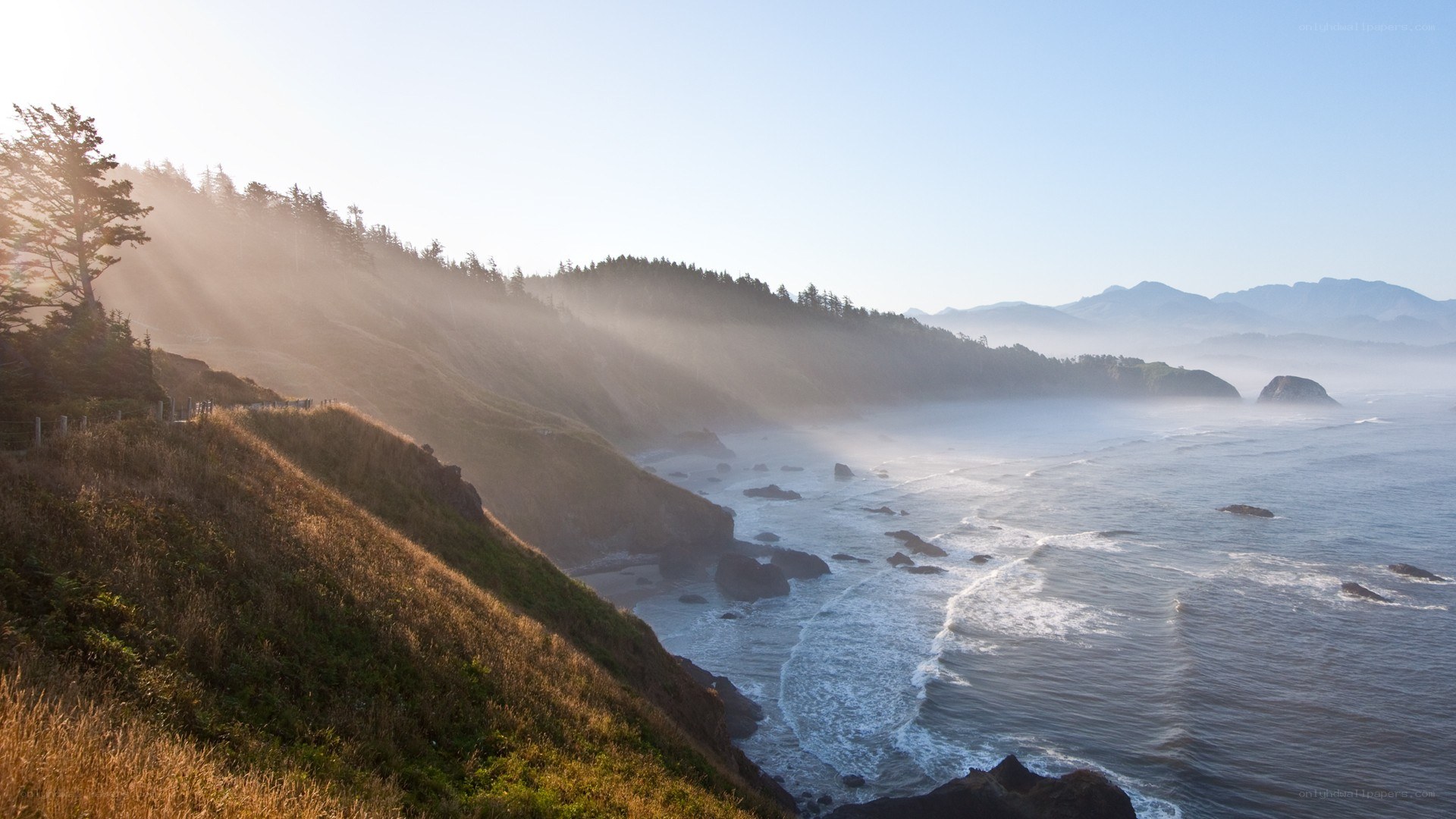 coastal cliffs at sunrise