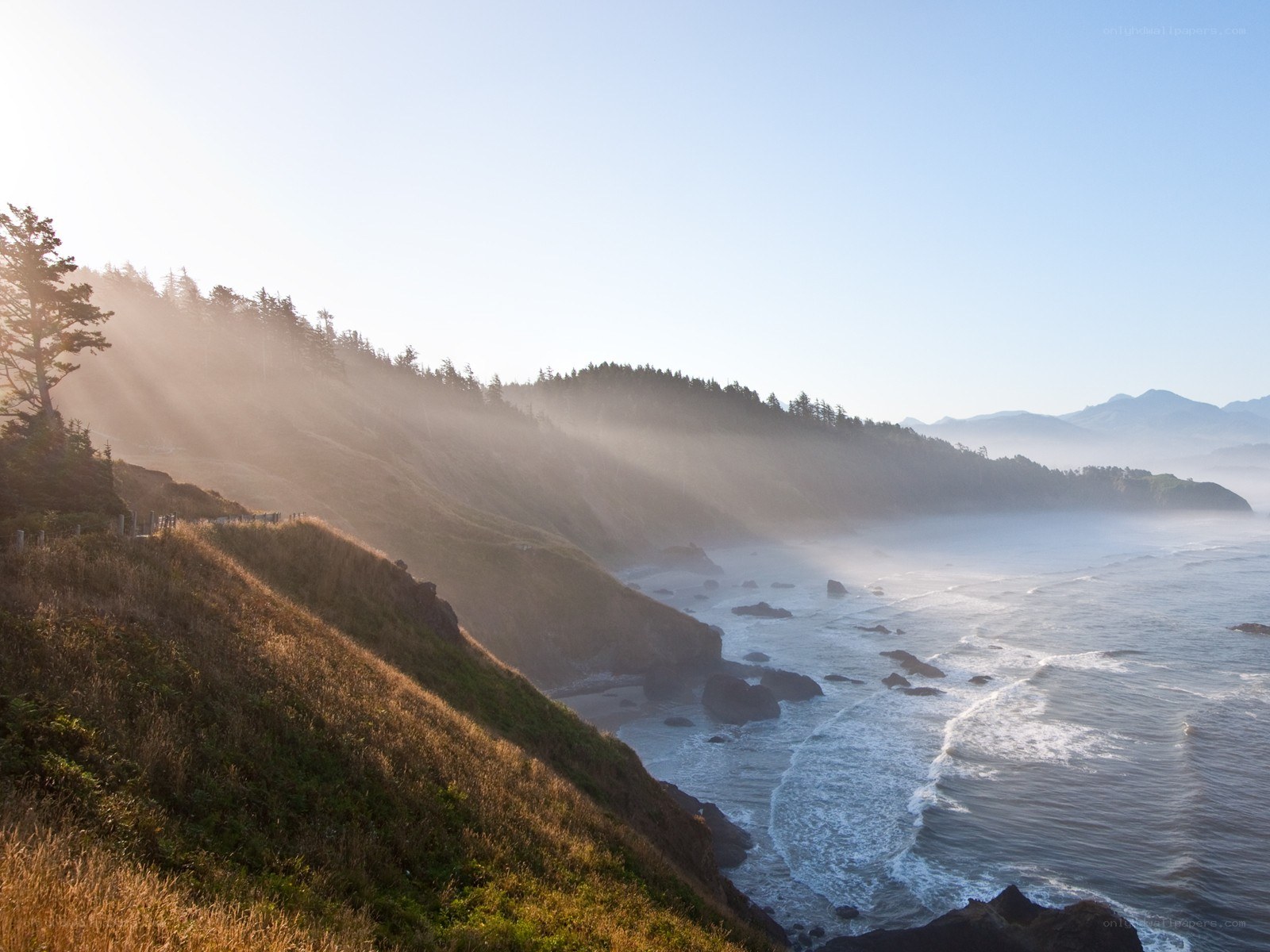 Coastal cliffs at sunrise