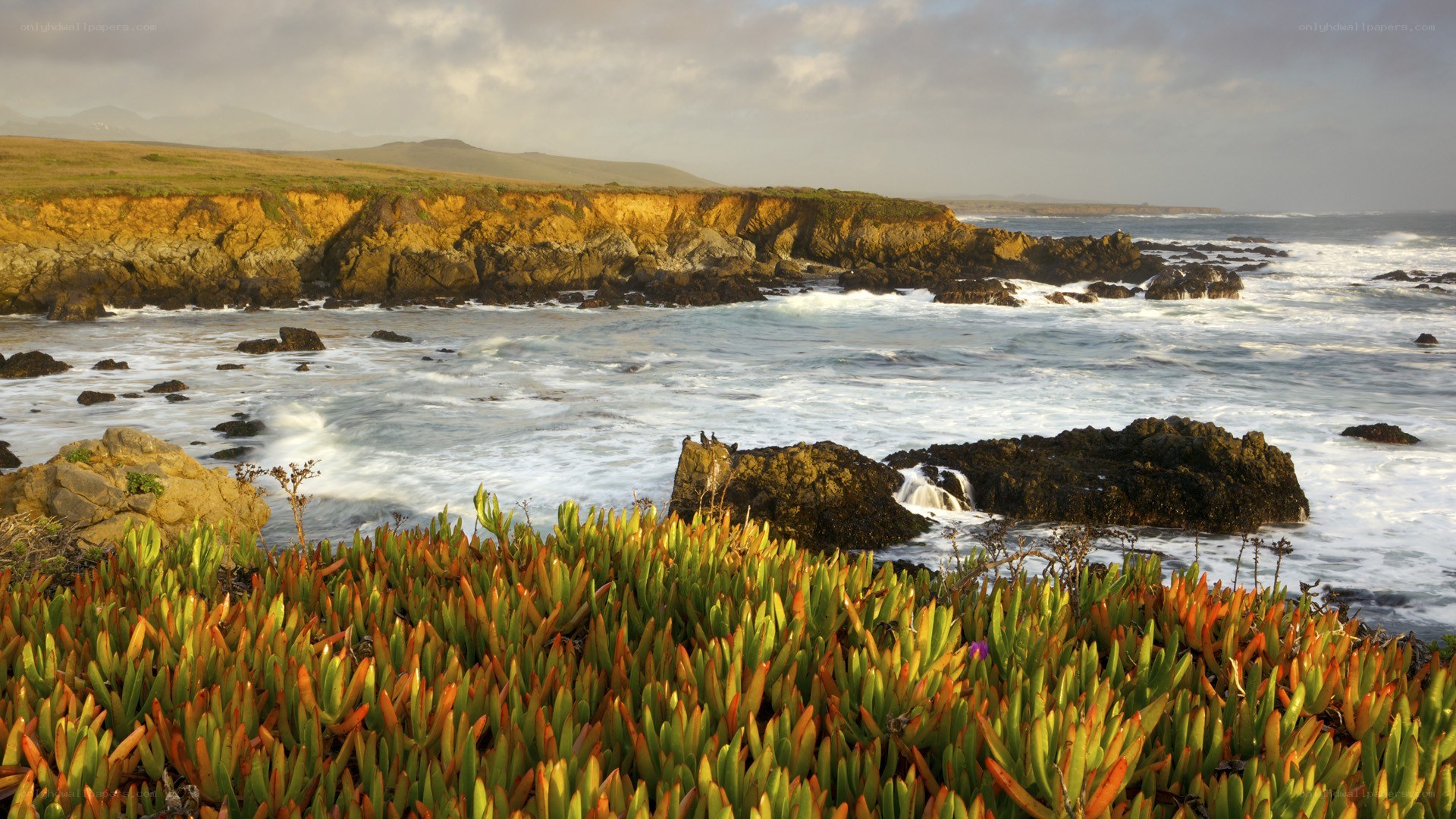 coastal cliffs at sunset