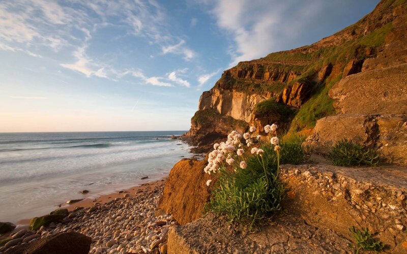 coastal cliffs at sunset