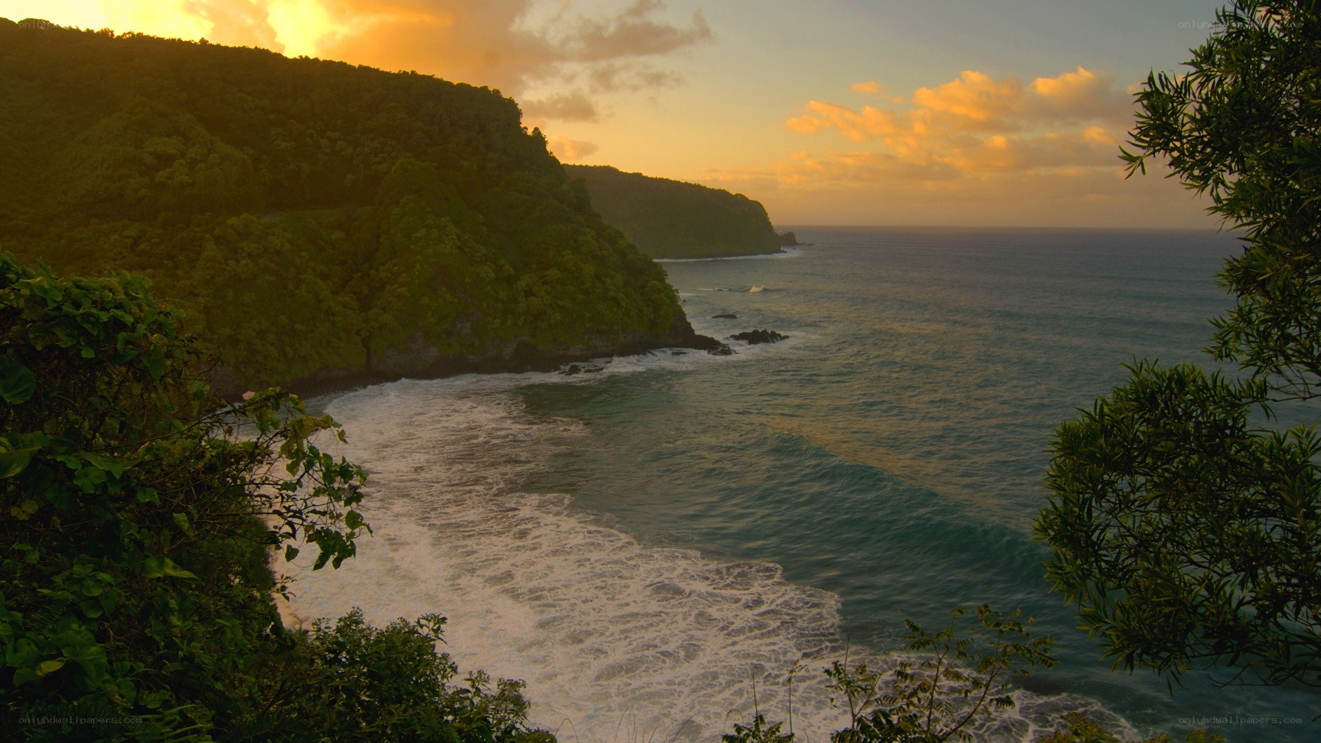 coastal cliffs at sunset