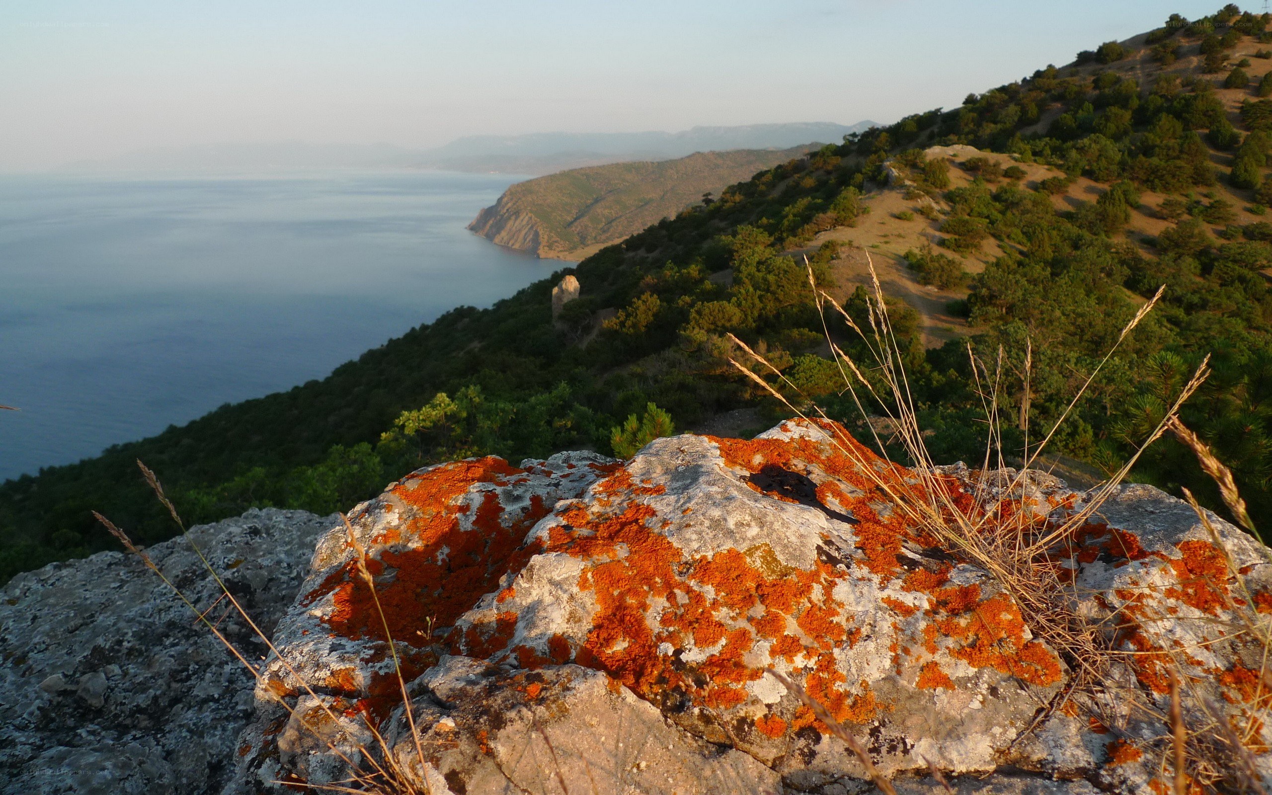 coastal cliffs at sunset