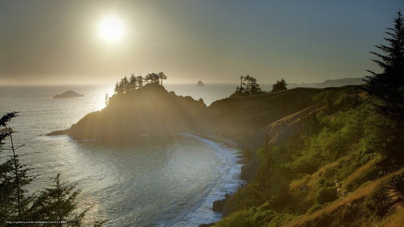 Coastal Cliffs at Sunset — Blue, Serene, Photograph, Ocean, Trees, Sun