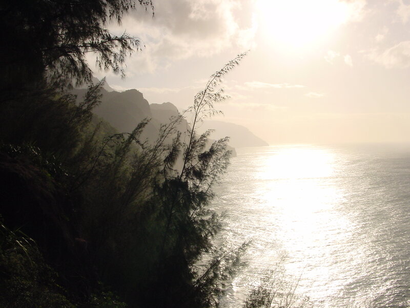 Coastal Cliffs at Sunset — Green, Serene, Photograph, Ocean