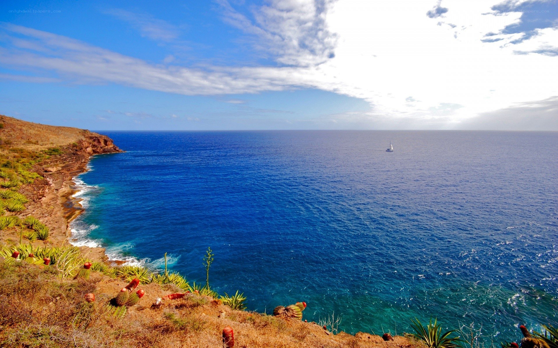 coastal cliffs overlooking the ocean