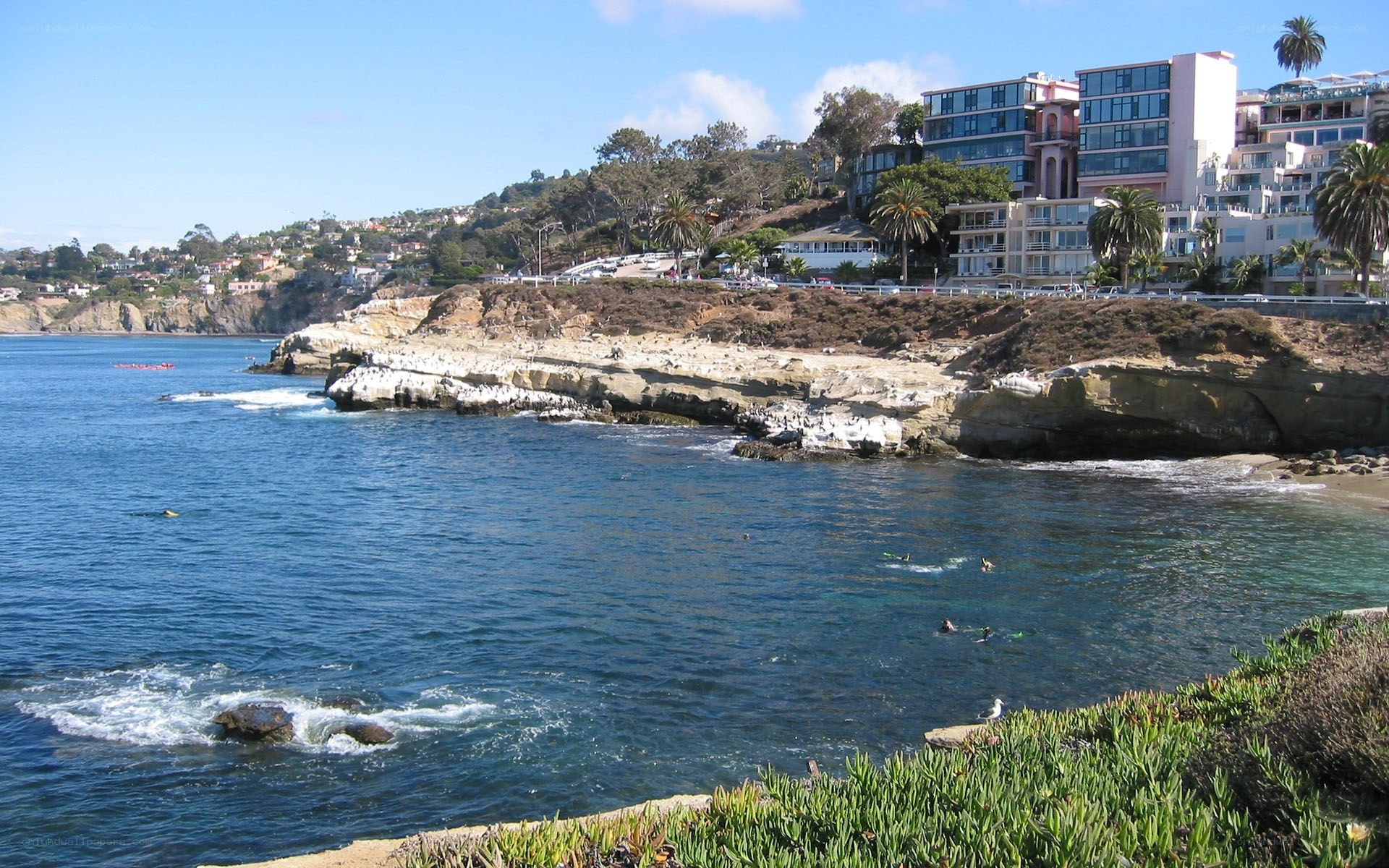 coastal cliffs with buildings