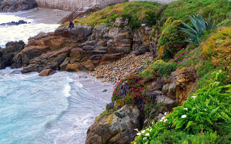 coastal cliffs with flowers and fisherman