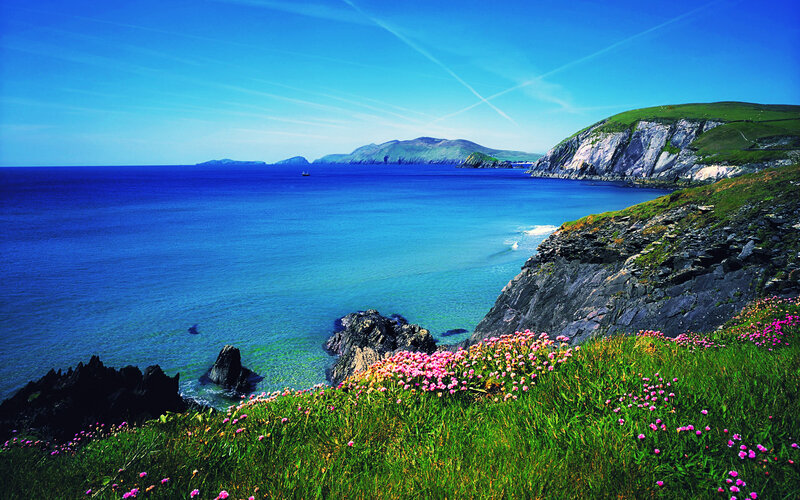 Coastal Cliffs with Flowers — Blue, Serene, Afternoon
