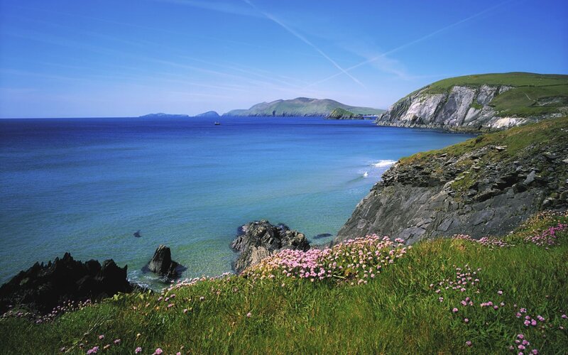 Coastal Cliffs with Flowers — Blue, Serene