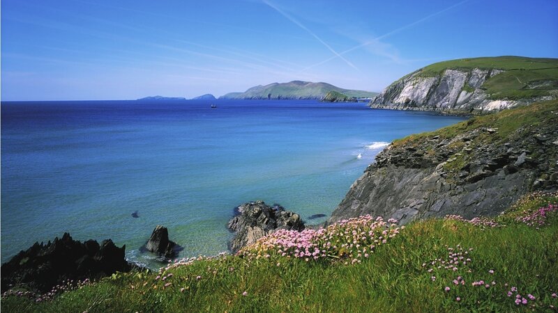 Coastal Cliffs with Flowers — Blue