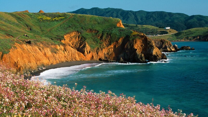 Coastal Cliffs with Flowers — Green, Serene, Afternoon, Photograph, Ocean, Mountains, Beach