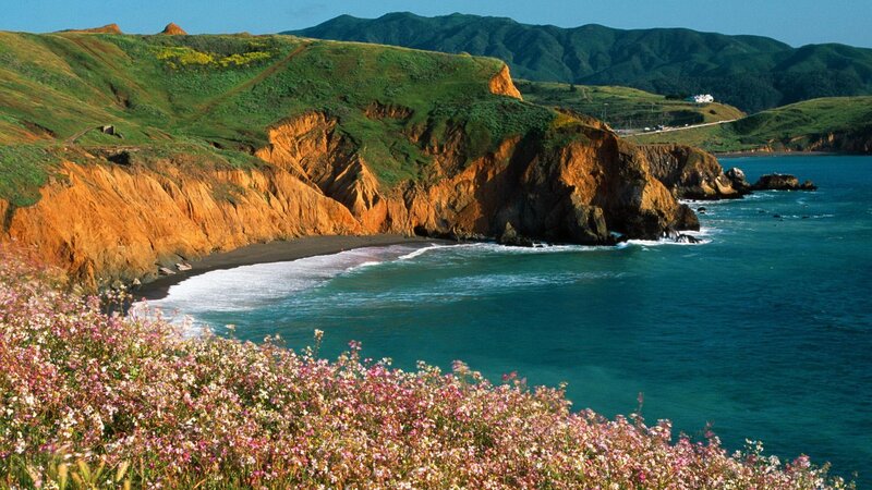 Coastal Cliffs with Flowers — Green, Serene