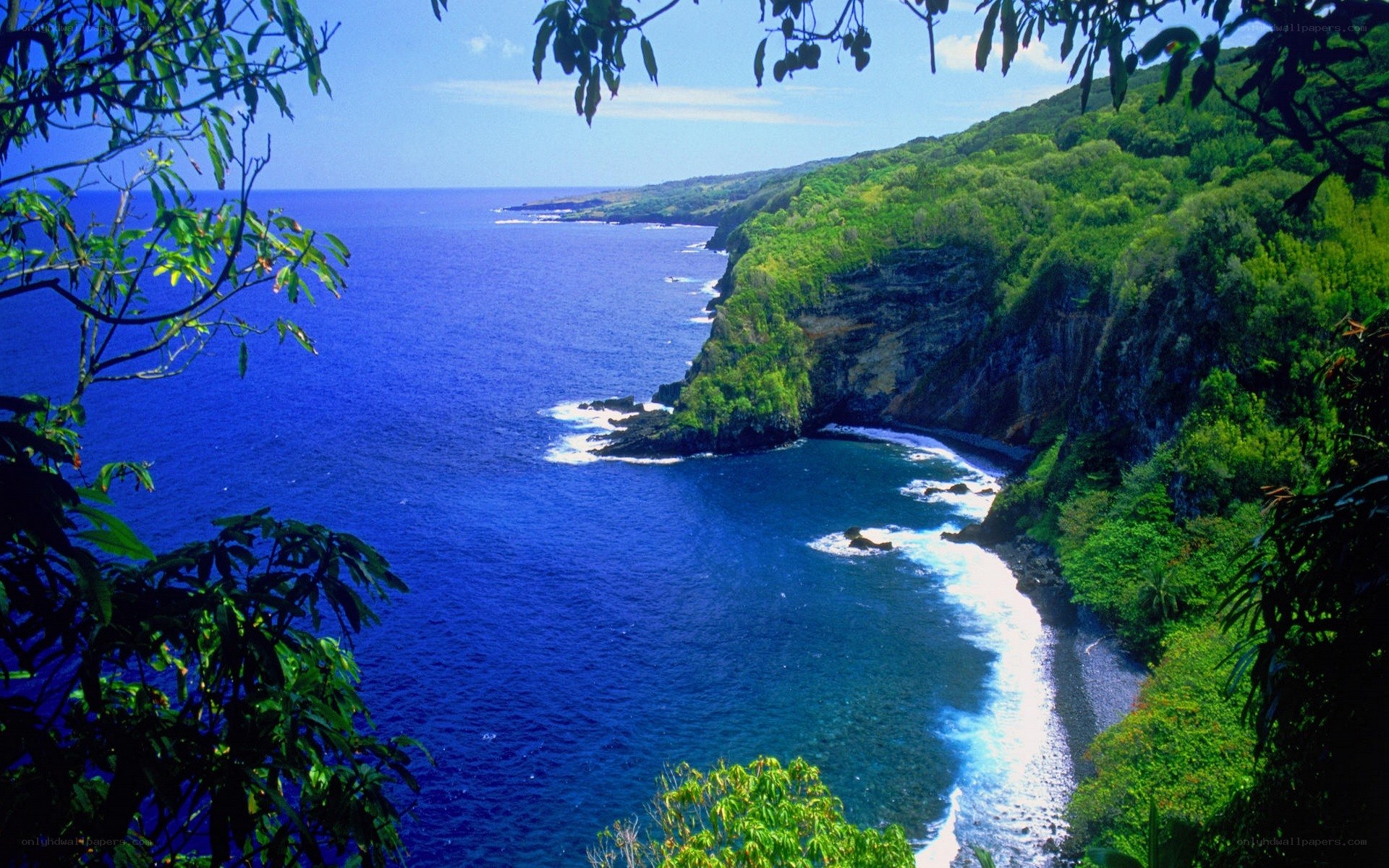 coastal cliffs with lush greenery