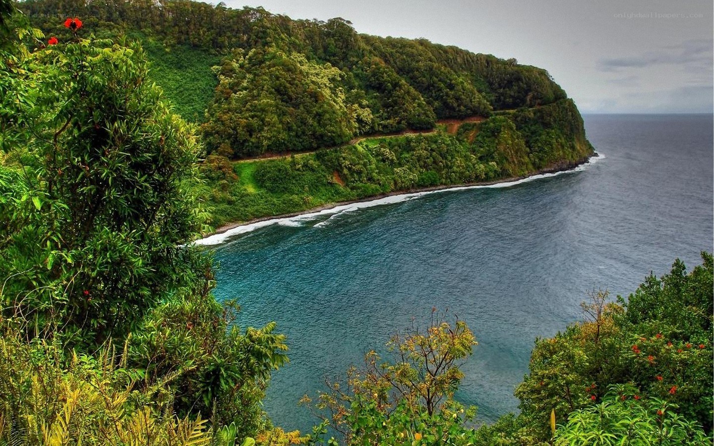 coastal cliffs with lush greenery