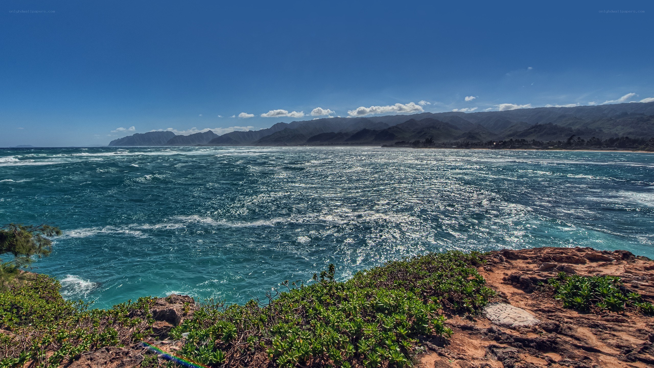 coastal cliffs with ocean view