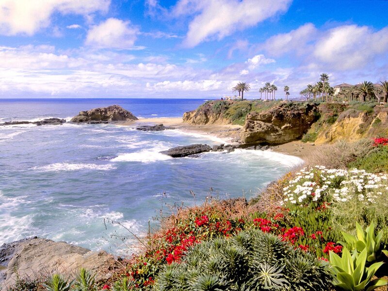 coastal cliffs with ocean view