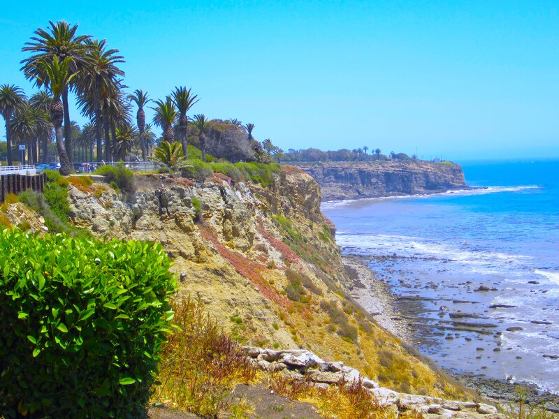 Coastal Cliffs with Palm Trees — Blue
