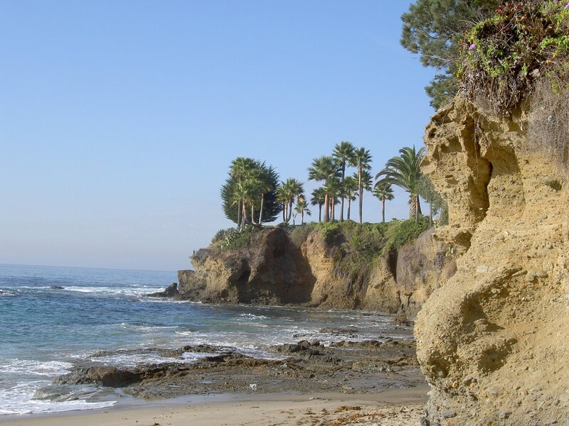 coastal cliffs with palm trees