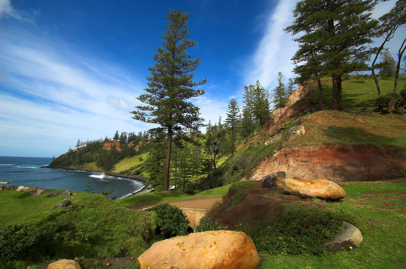 Coastal cliffs with pine trees