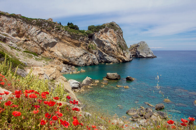 Coastal Cliffs with Poppies