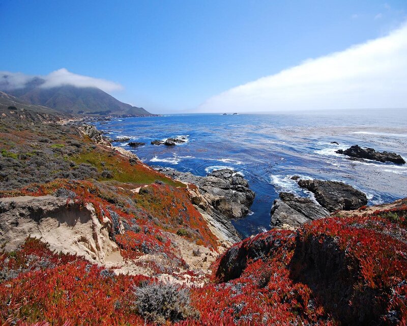 coastal cliffs with red foliage