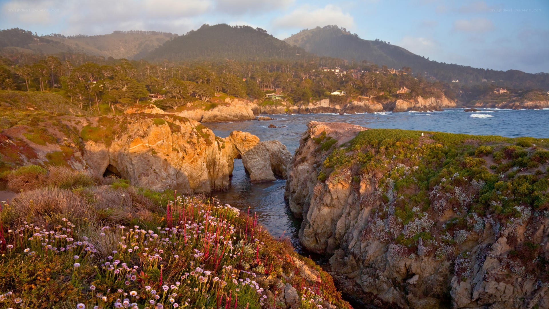 coastal cliffs with sea arch