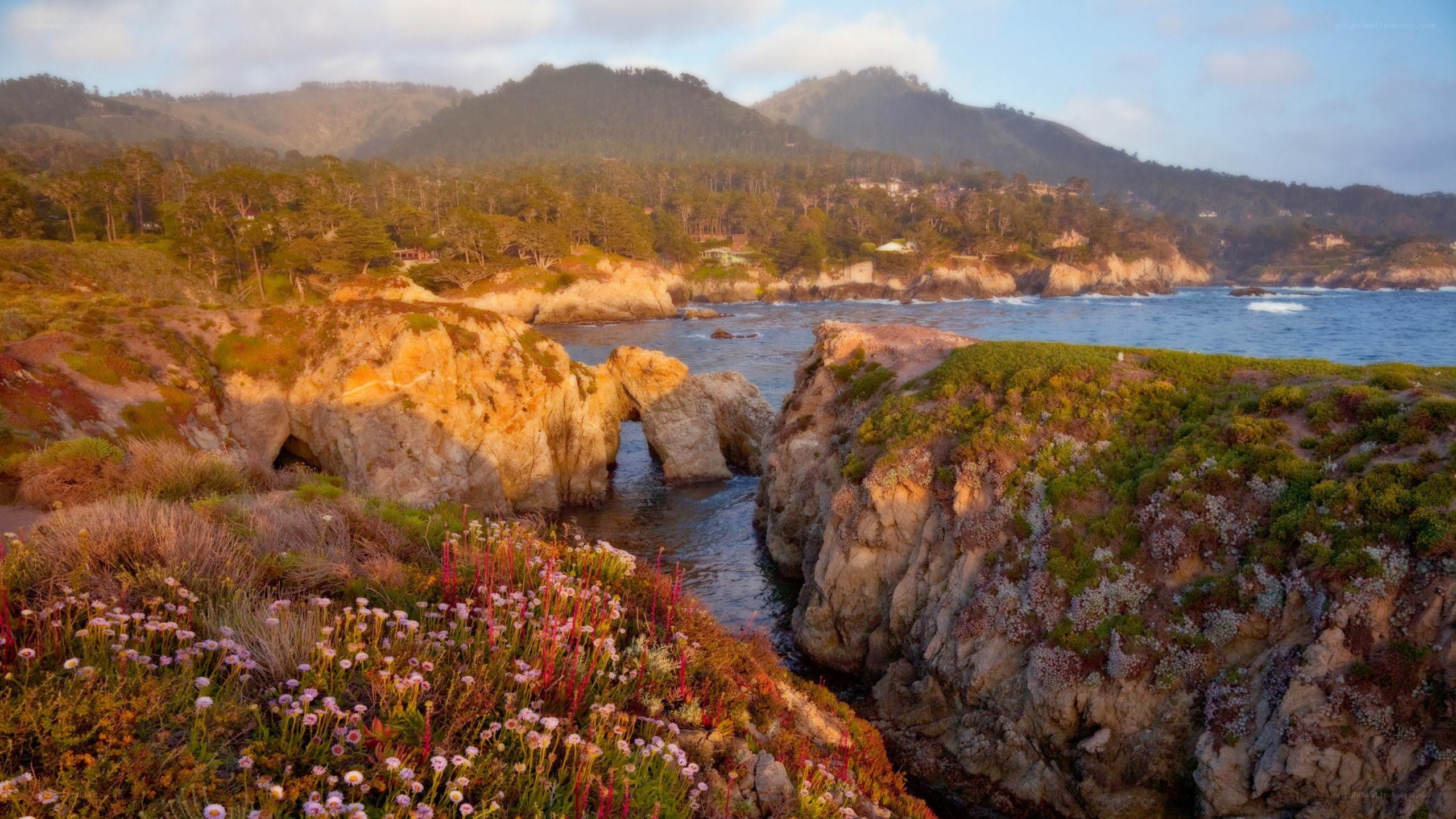 coastal cliffs with sea arch