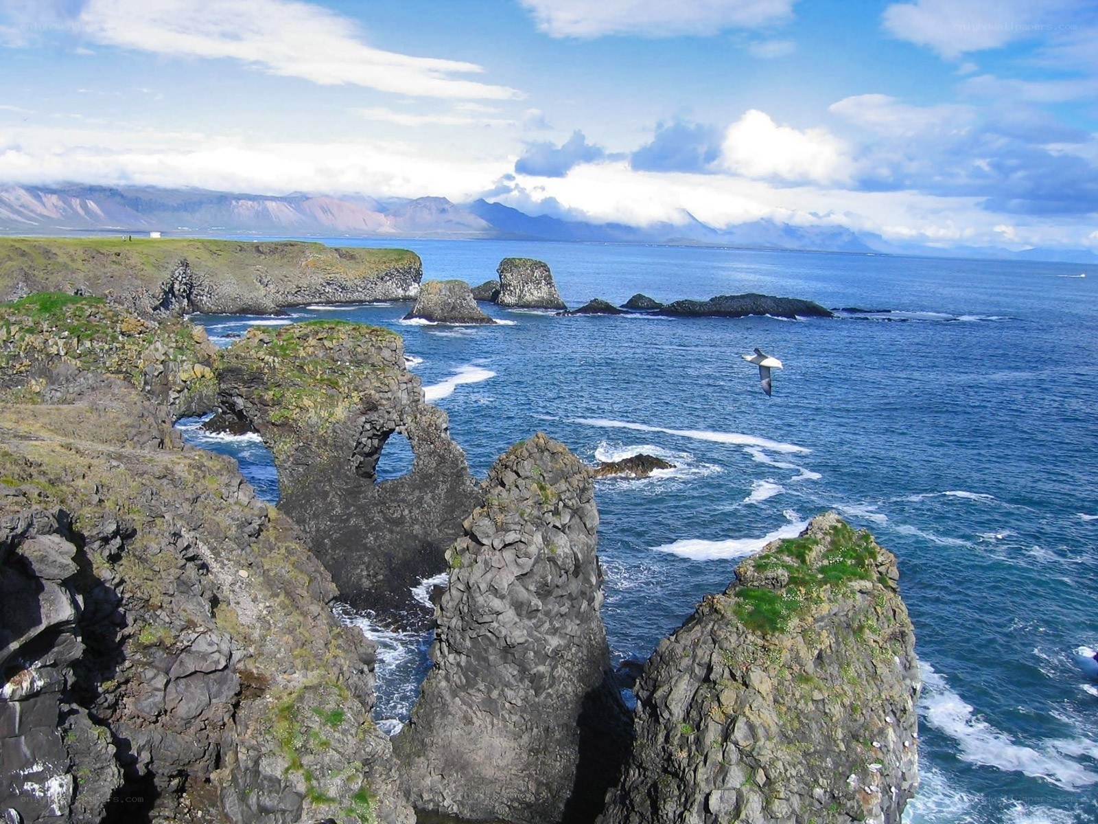 coastal cliffs with sea arch