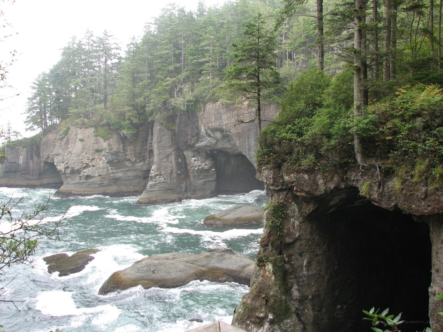 coastal cliffs with sea caves