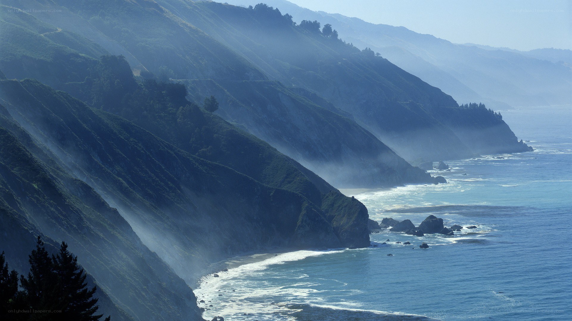 coastal cliffs with sea mist