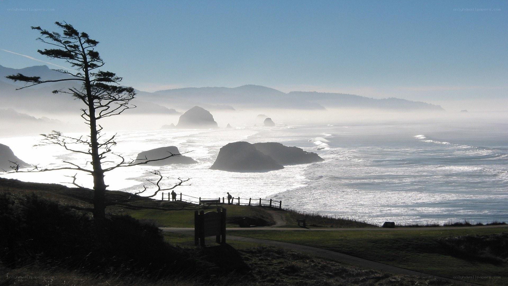 coastal cliffs with sea stacks