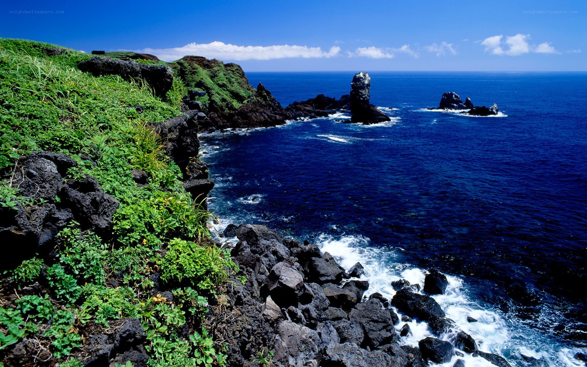 coastal cliffs with sea stacks