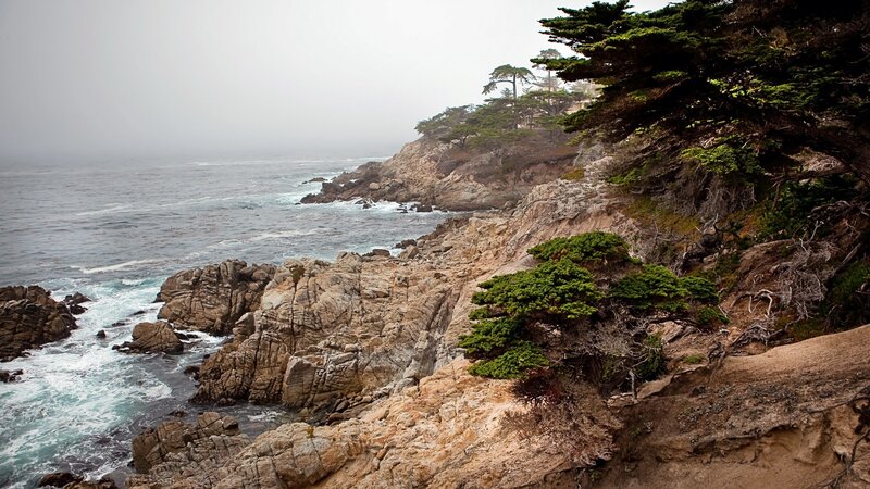 Coastal Cliffs with Trees — Gray, Misty, Photograph