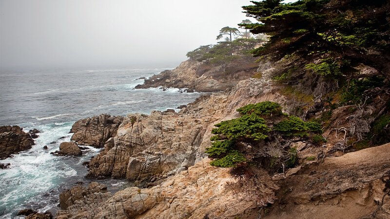 Coastal Cliffs with Trees — Gray