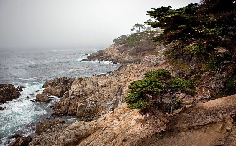 Coastal Cliffs with Trees — Green, Misty