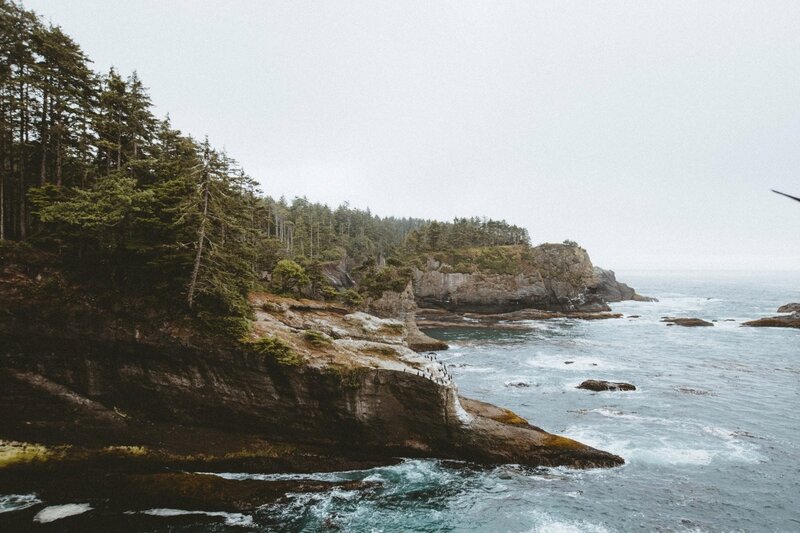 Coastal Cliffs with Trees — Green, Overcast