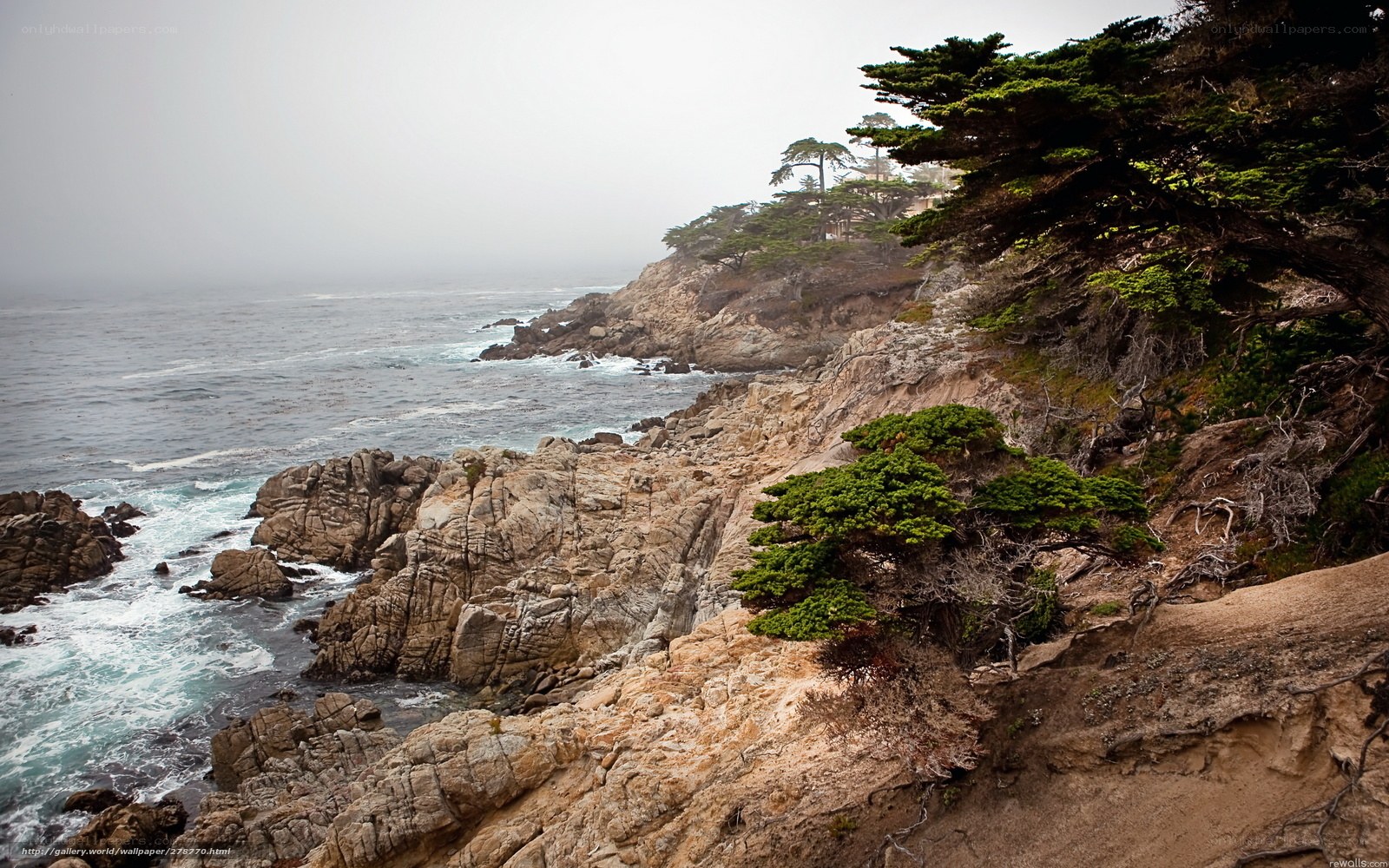 coastal cliffs with trees